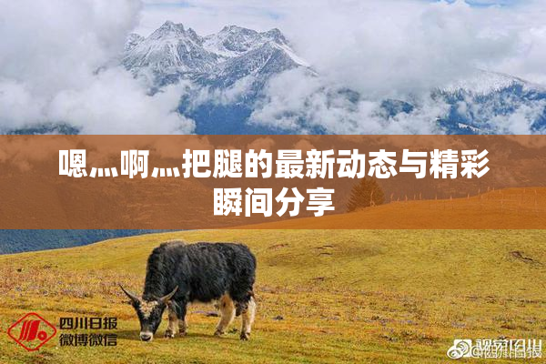 嗯灬啊灬把腿的最新动态与精彩瞬间分享