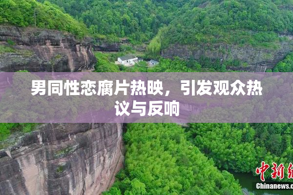 男同性恋腐片热映，引发观众热议与反响