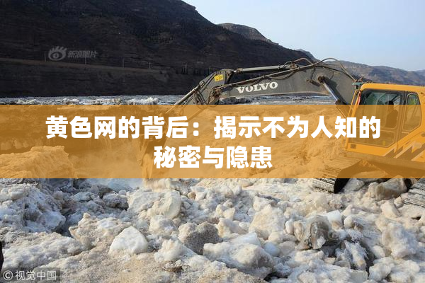 黄色网的背后：揭示不为人知的秘密与隐患
