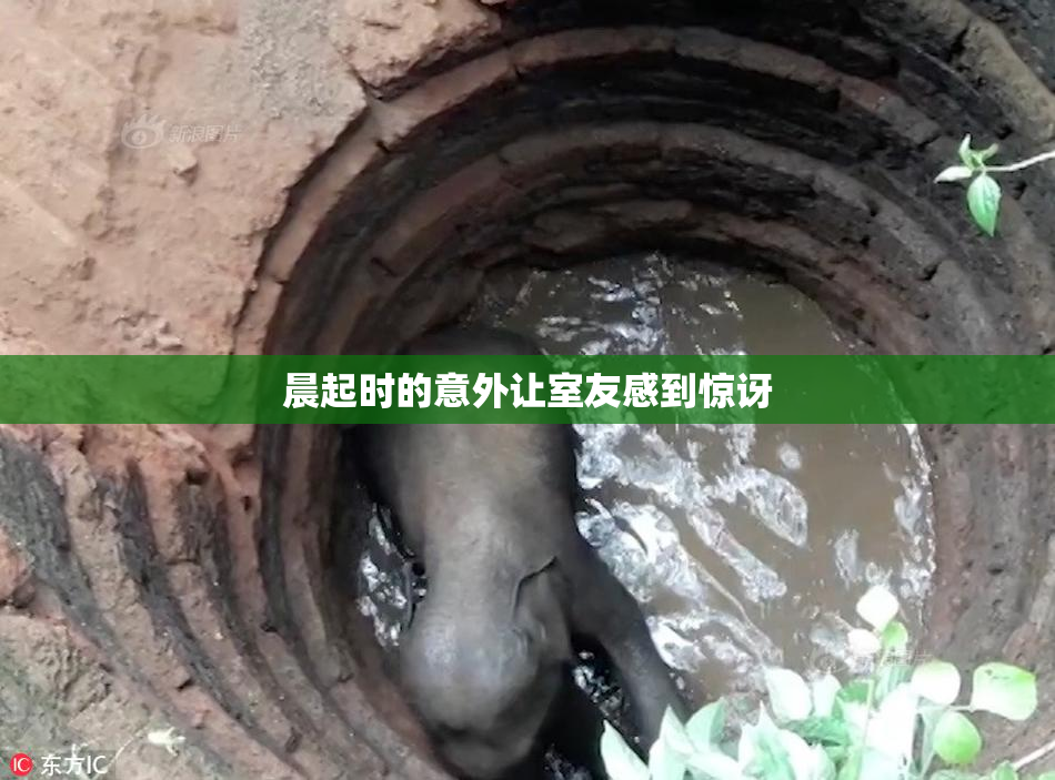 晨起时的意外让室友感到惊讶