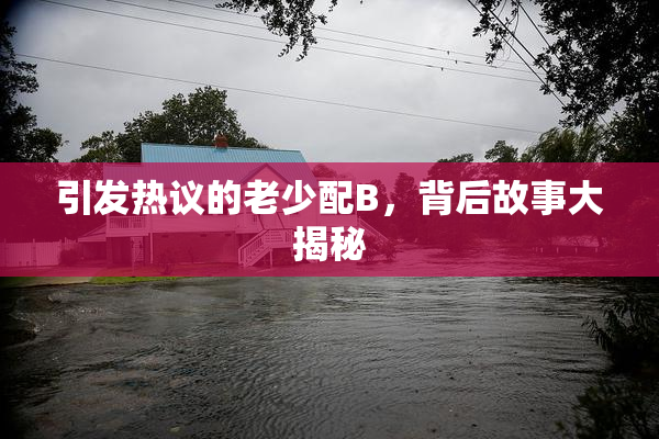 引发热议的老少配B，背后故事大揭秘