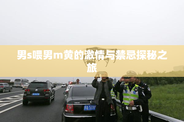 男s喂男m黄的激情与禁忌探秘之旅