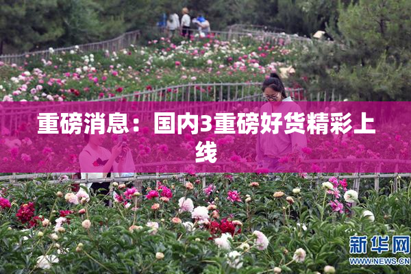 重磅消息：国内3重磅好货精彩上线