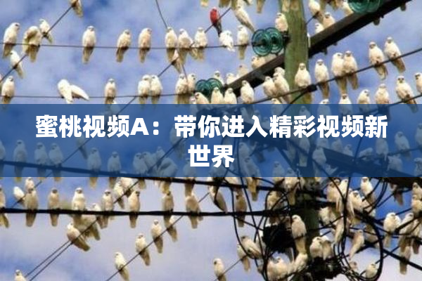 蜜桃视频A：带你进入精彩视频新世界