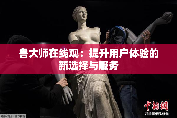 鲁大师在线观：提升用户体验的新选择与服务