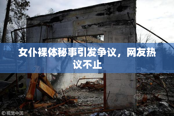 女仆裸体秘事引发争议，网友热议不止
