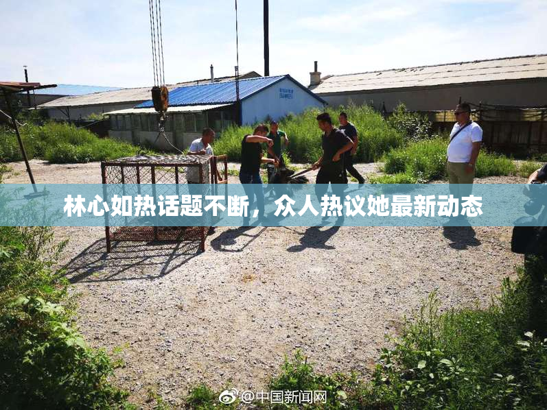 林心如热话题不断，众人热议她最新动态