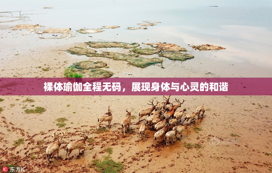 裸体瑜伽全程无码，展现身体与心灵的和谐