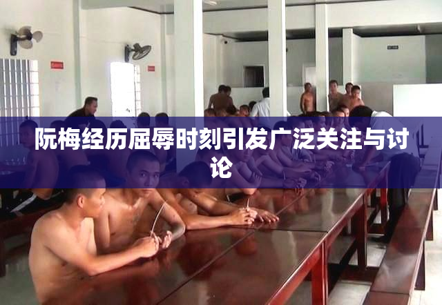 阮梅经历屈辱时刻引发广泛关注与讨论