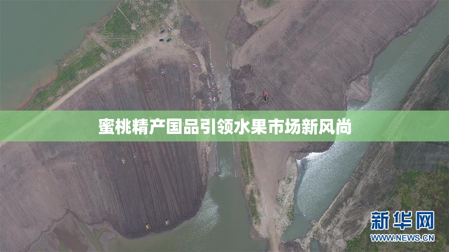 蜜桃精产国品引领水果市场新风尚