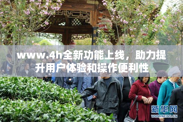 www.4h全新功能上线，助力提升用户体验和操作便利性