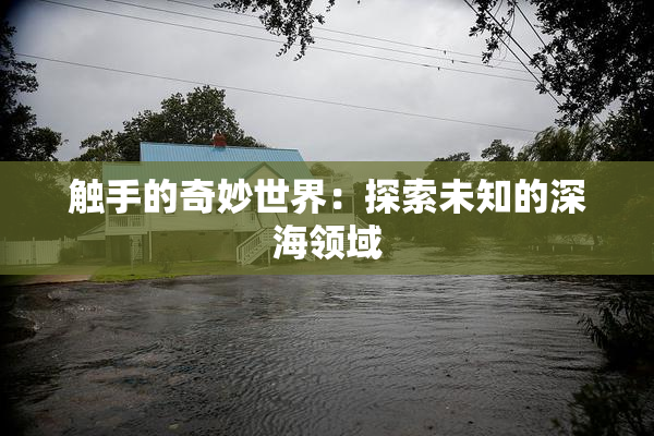 触手的奇妙世界：探索未知的深海领域