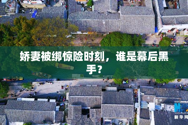 娇妻被绑惊险时刻，谁是幕后黑手？