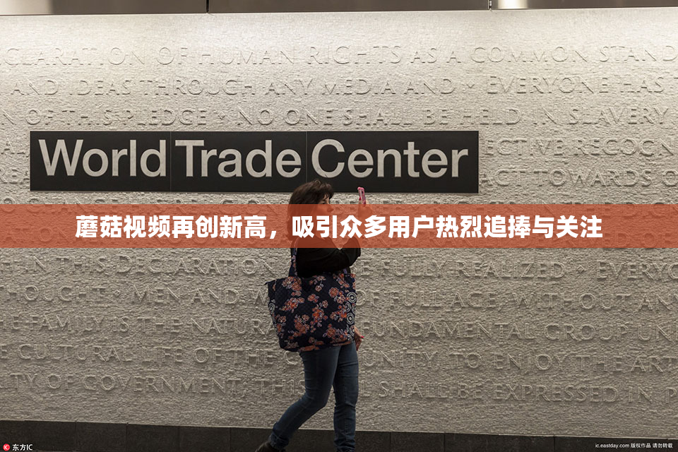 蘑菇视频再创新高，吸引众多用户热烈追捧与关注