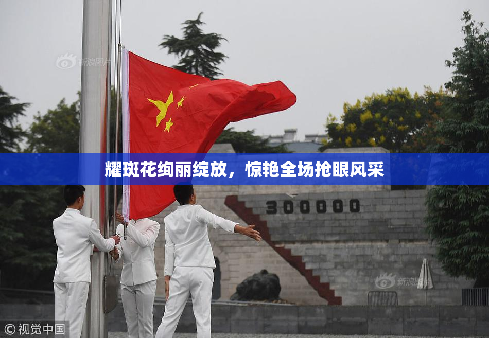 耀斑花绚丽绽放，惊艳全场抢眼风采