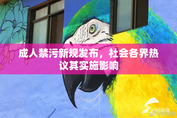 成人禁污新规发布，社会各界热议其实施影响