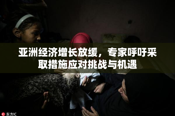 亚洲经济增长放缓，专家呼吁采取措施应对挑战与机遇