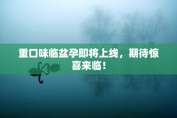 重口味临盆孕即将上线，期待惊喜来临！