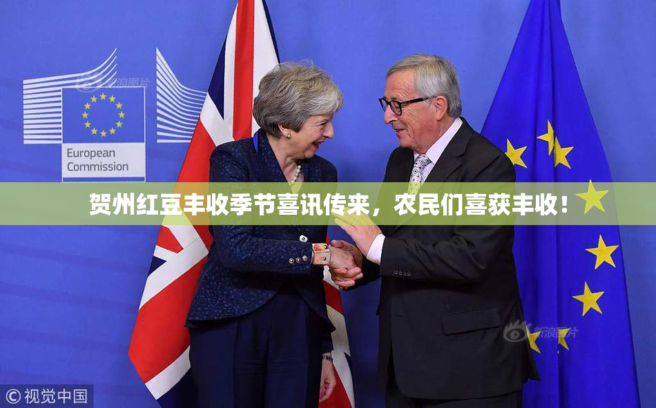 贺州红豆丰收季节喜讯传来，农民们喜获丰收！