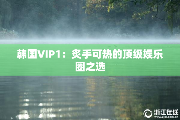 韩国VIP1：炙手可热的顶级娱乐圈之选