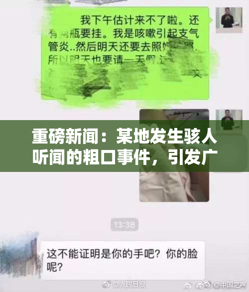 重磅新闻：某地发生骇人听闻的粗口事件，引发广泛关注与讨论