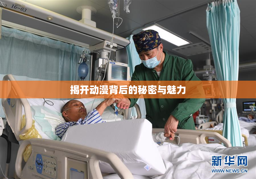 揭开动漫背后的秘密与魅力