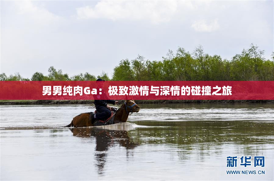 男男纯肉Ga：极致激情与深情的碰撞之旅