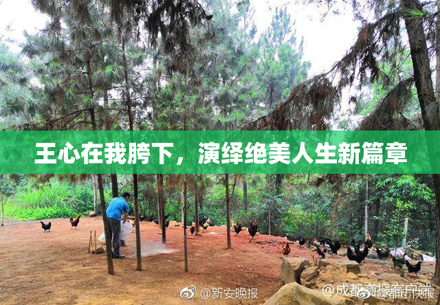 王心在我胯下，演绎绝美人生新篇章
