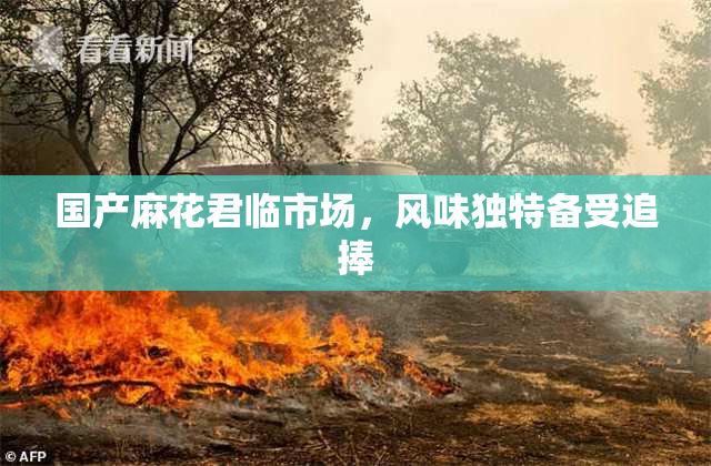 国产麻花君临市场，风味独特备受追捧