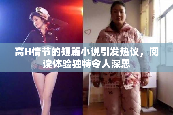 高H情节的短篇小说引发热议，阅读体验独特令人深思