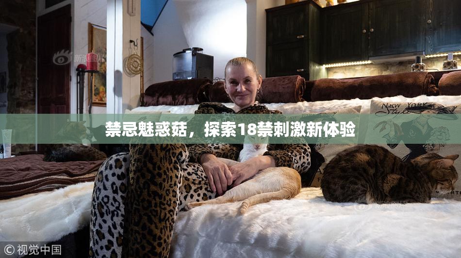 禁忌魅惑菇，探索18禁刺激新体验