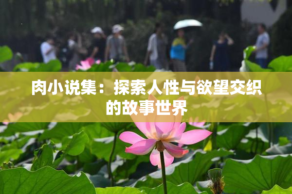 肉小说集：探索人性与欲望交织的故事世界