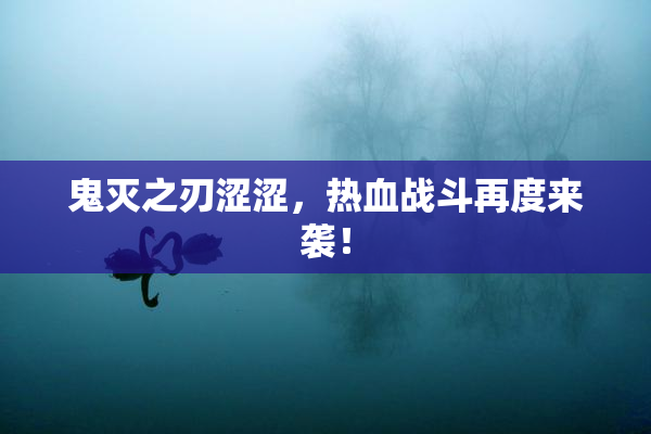 鬼灭之刃涩涩，热血战斗再度来袭！
