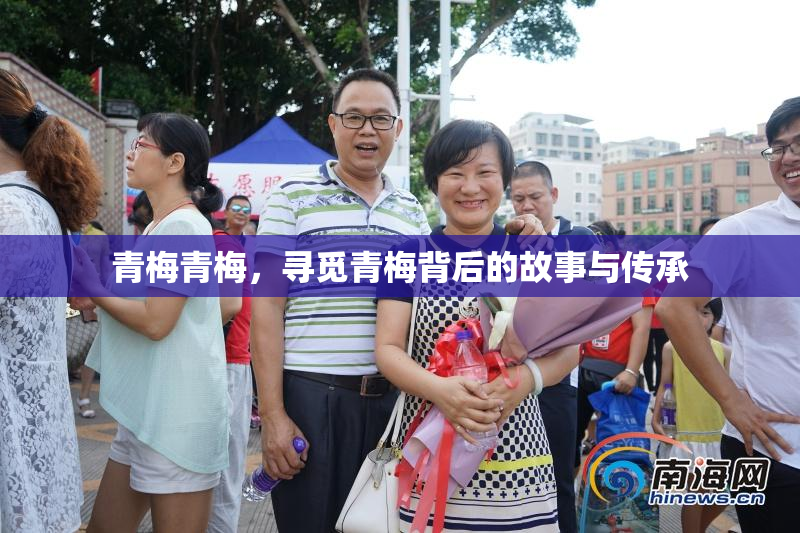 青梅青梅，寻觅青梅背后的故事与传承