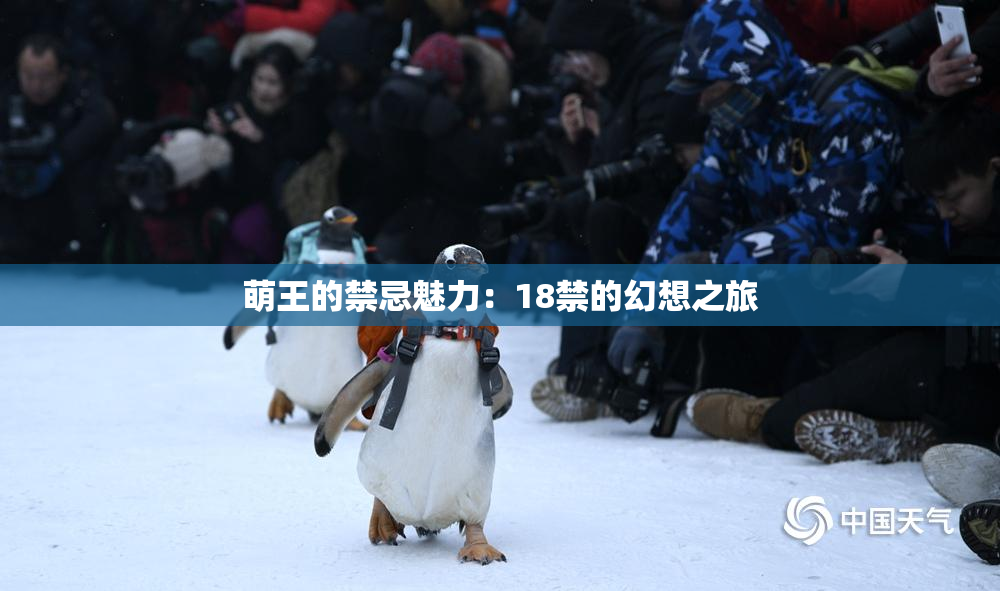 萌王的禁忌魅力：18禁的幻想之旅