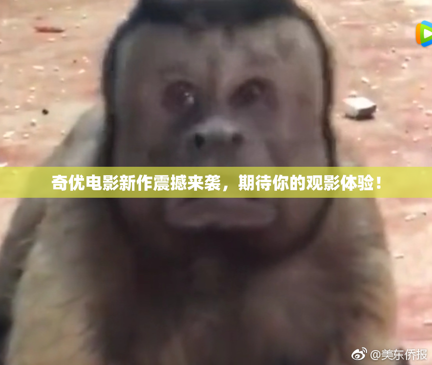 奇优电影新作震撼来袭，期待你的观影体验！