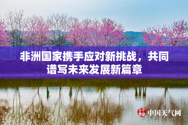 非洲国家携手应对新挑战，共同谱写未来发展新篇章
