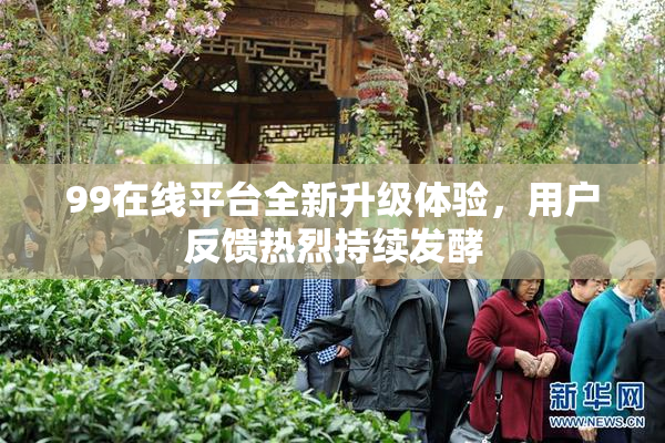 99在线平台全新升级体验，用户反馈热烈持续发酵