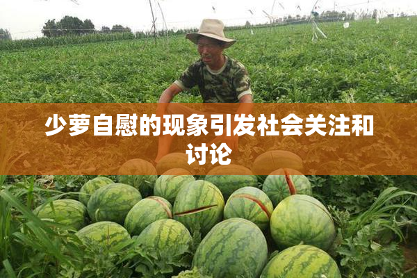 少萝自慰的现象引发社会关注和讨论
