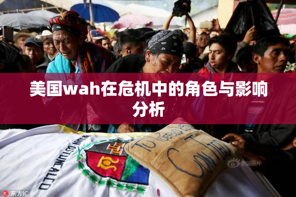 美国wah在危机中的角色与影响分析