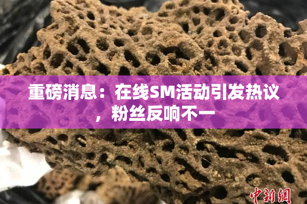 重磅消息：在线SM活动引发热议，粉丝反响不一