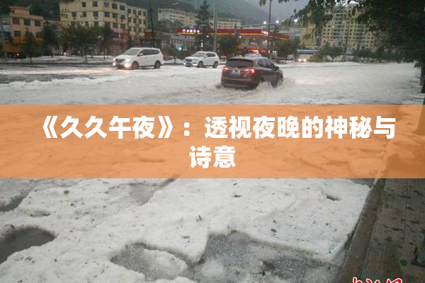 《久久午夜》：透视夜晚的神秘与诗意