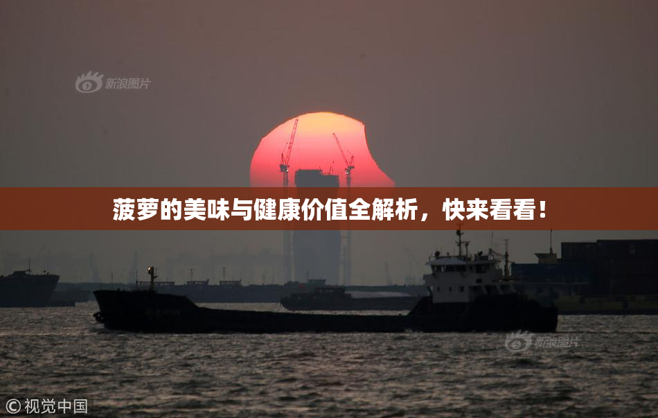 菠萝的美味与健康价值全解析，快来看看！