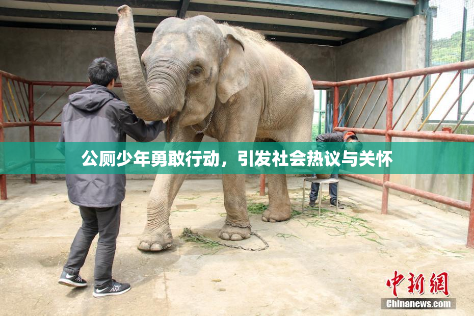公厕少年勇敢行动，引发社会热议与关怀