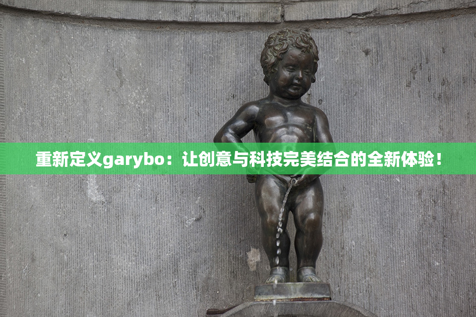 重新定义garybo：让创意与科技完美结合的全新体验！