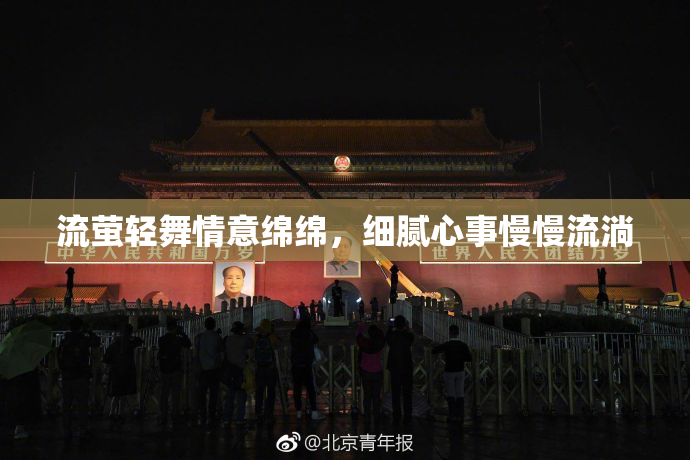 流萤轻舞情意绵绵，细腻心事慢慢流淌