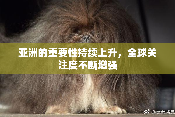 亚洲的重要性持续上升，全球关注度不断增强