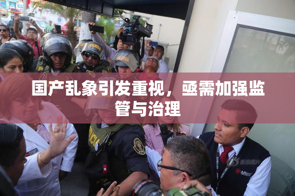 国产乱象引发重视，亟需加强监管与治理