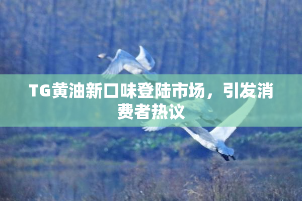 TG黄油新口味登陆市场，引发消费者热议