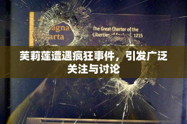 芙莉莲遭遇疯狂事件，引发广泛关注与讨论